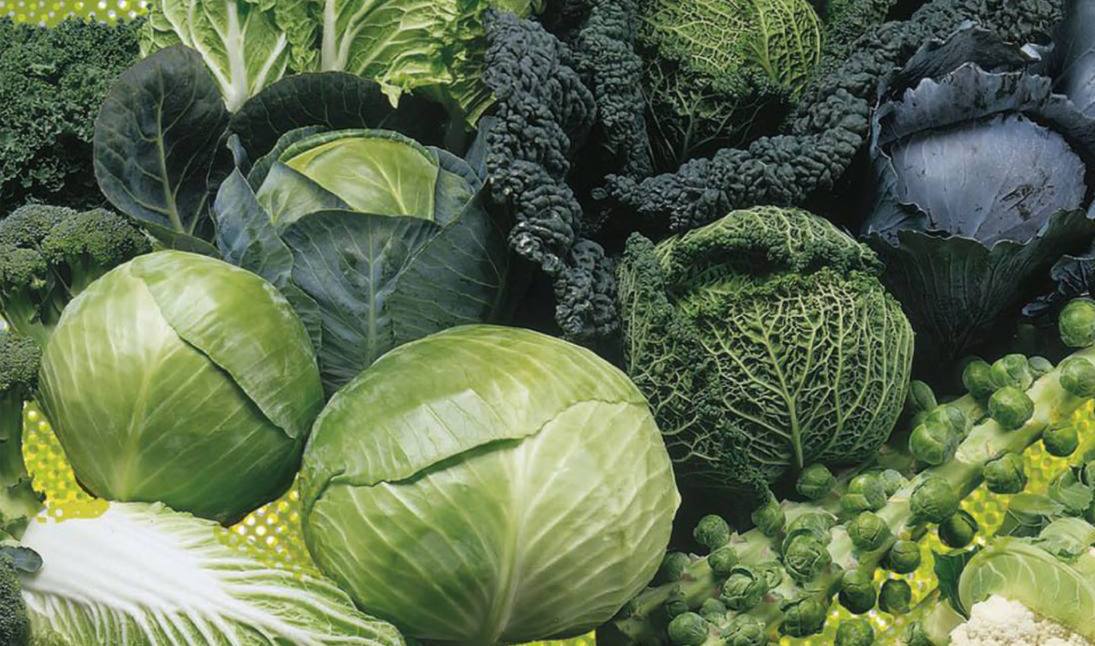 Kapsas jume parandamiseks